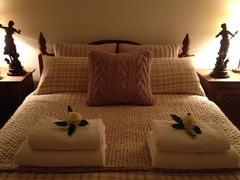 Snowdonia Snug - Studio Style Accommodation Dolgellau Dış mekan fotoğraf